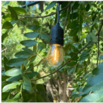 Outdoor Solar Led Light Lm Patio Manufactory